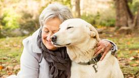 Senior News Line: The heavy lifting of pet ownership