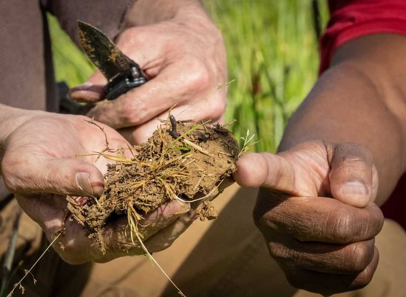 Three Indiana companies received 4R Nutrient Stewardship program certifications this spring.