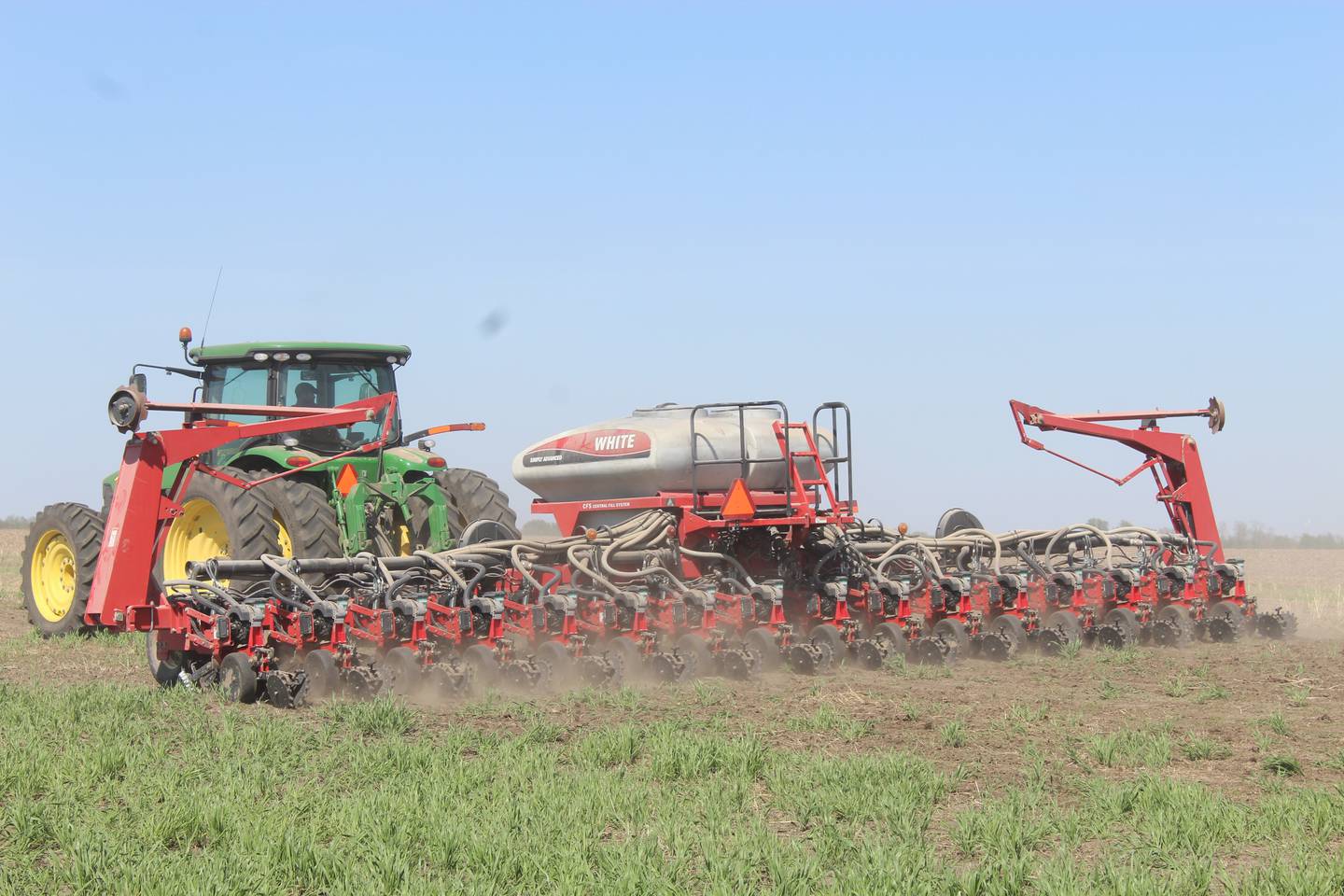 Corn planting on Bell Family Farms started on April 22 with this 35-acre field, where wheat grew last year. The volunteer wheat will be terminated prior to the emergence of the corn plants.