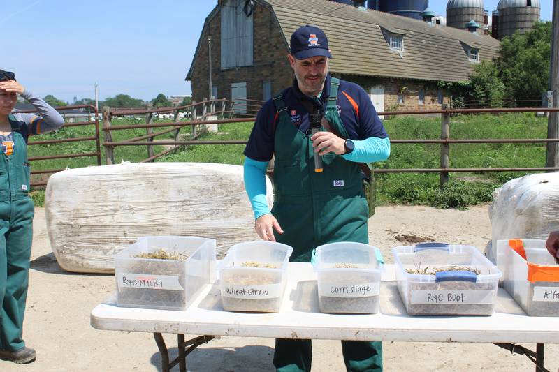 Phil Cardoso talks about different feed ingredients that are currently part of a research project at the University of Illinois dairy farm. A hybrid rye that was harvested at the boot stage and the milky stage are part of a project that a graduate student is conducting with transition cows.