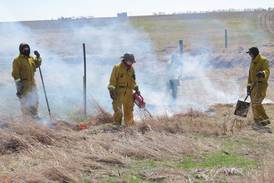 Prescribed burn rejuvenates native species