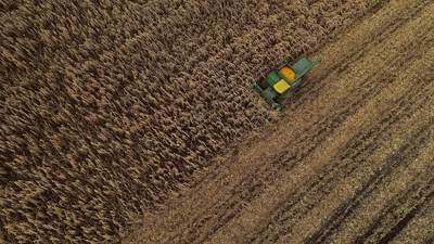 USDA boosts corn harvest from mid-year projection