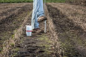 5 crop nutrition strategies to maximize ROI