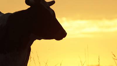 2026 Illinois AgSource Directory