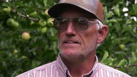 Crop insurance: A lifeline for farmers
