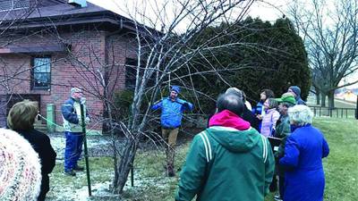 Time to prune the fruit trees