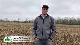 Evaluate soybean emergence, stands
