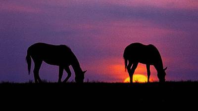 Hold the gate: Start the grazing season off right
