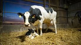 Turn herd data into action with connected systems