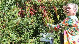 Property provides acres of land for foraging
