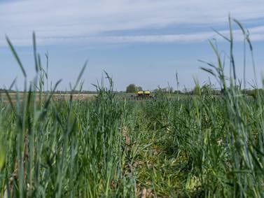 Indiana dicamba update for 2026