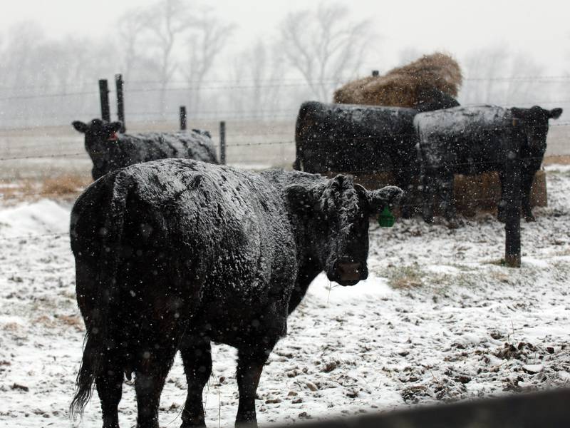 Farmers need a financial boost