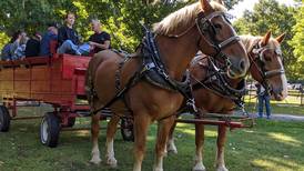 LaPorte County Fair gears up for its 179th celebration