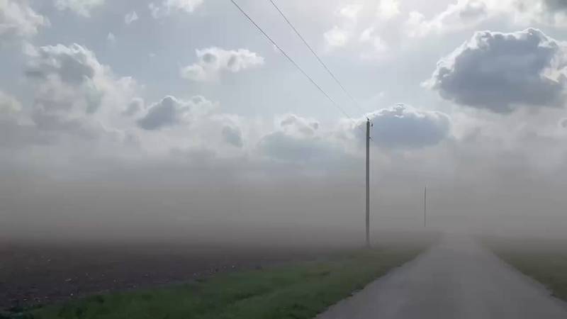 To effectively prevent future dust storms, it is essential to understand the contributing factors and identify steps to address them.
