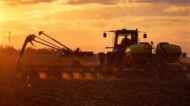 Swing to more soybeans in USDA crop forecast