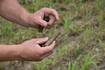 Soil sampling program available for Hoosier farmers