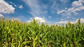 BASF announces EPA approval of Surtain herbicide