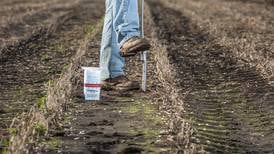 5 crop nutrition strategies to maximize ROI