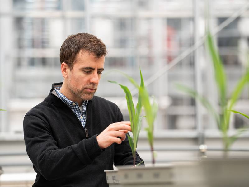 New tool could help farmers limit nitrate leaching