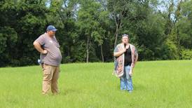 Neighbors work together to establish cover crops, graze cattle