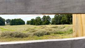 Humble alfalfa hay offers ecological benefits