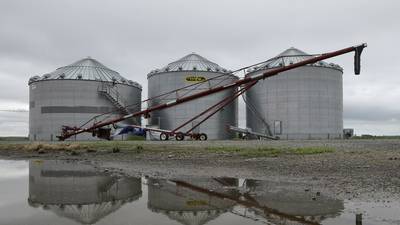 Stored crops up from year ago