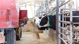 Billions of data points collected by researchers at Purina farm
