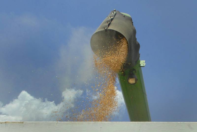 Wheat flies from a combine on a farm about a mile west of Bloomington in McLean County in central Illinois.