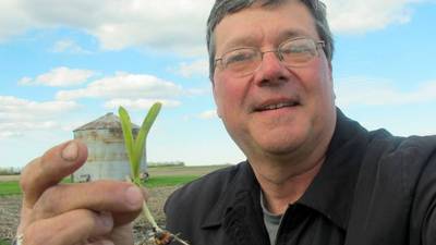 ISA announces Achievement Award winners