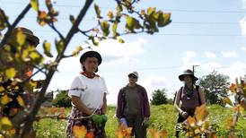 Woodstock’s new Apple Creek forest farm might set trends for agrifarm ‘adventures’