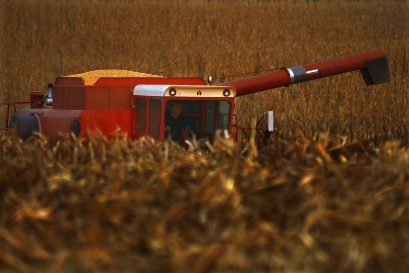 With the official arrival of the fall season, a farmer begins to harvest corn at sunset in Ashland in central Illinois.
