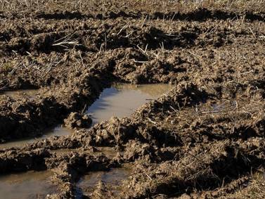 Wet start to March impacts field conditions
