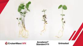 Soybean growers discover ROI protection in sliding market