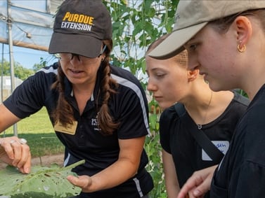 2026 Fruit and Vegetable Field Day coming July 16
