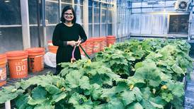 Genome sequenced for pesky pumpkin pathogen