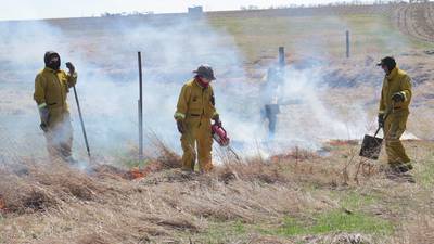 Prescribed burn rejuvenates native species