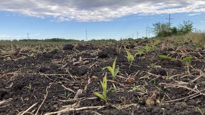 Indiana crop progress for week ending May 25