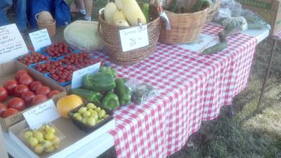 Calendar: Safety standards for farmers markets