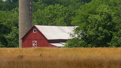 Farmland values lower in Farm Credit Illinois report