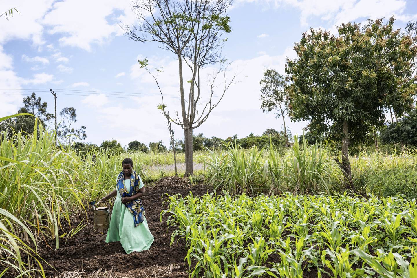 Filesi Topola is seen on her farm in Mulanje in southern Malawi.