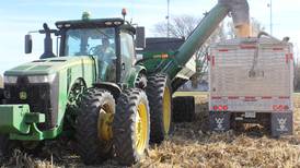 Corn yields very good despite dry June