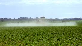 New balance sheets project lower corn, wheat stocks