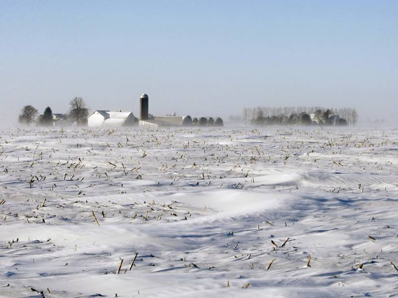 Will the Farmer Bridge Assistance dollars be enough to offset losses?