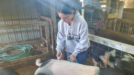 Star in Agriscience finalists