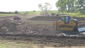 Former pasture becomes wetland