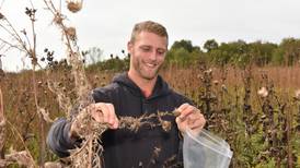 St. Charles Park District: Rebuilding the land seed by seed