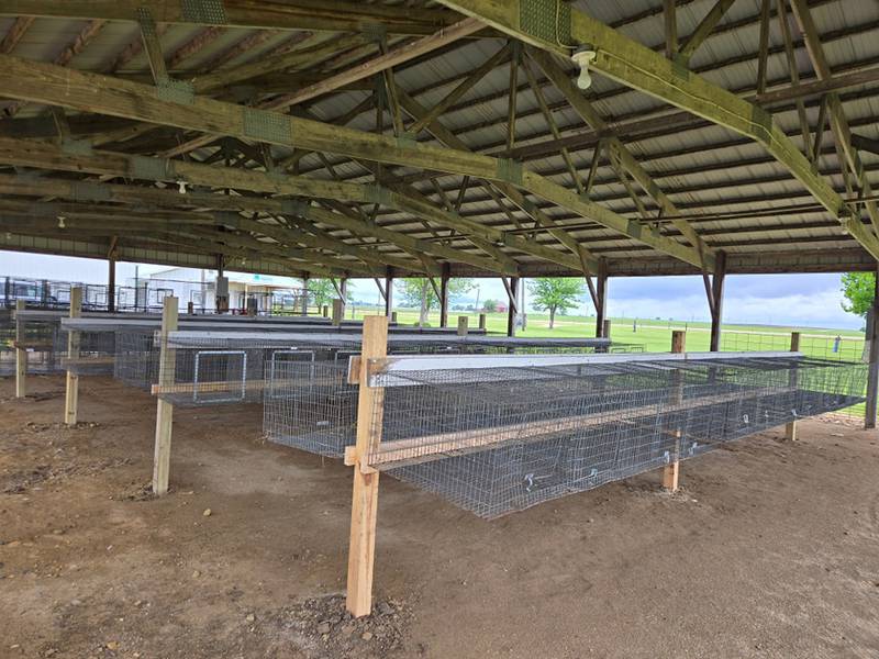 Goats and rabbits are switching barns to accommodate growing numbers in both departments at the Lee County Fair.
