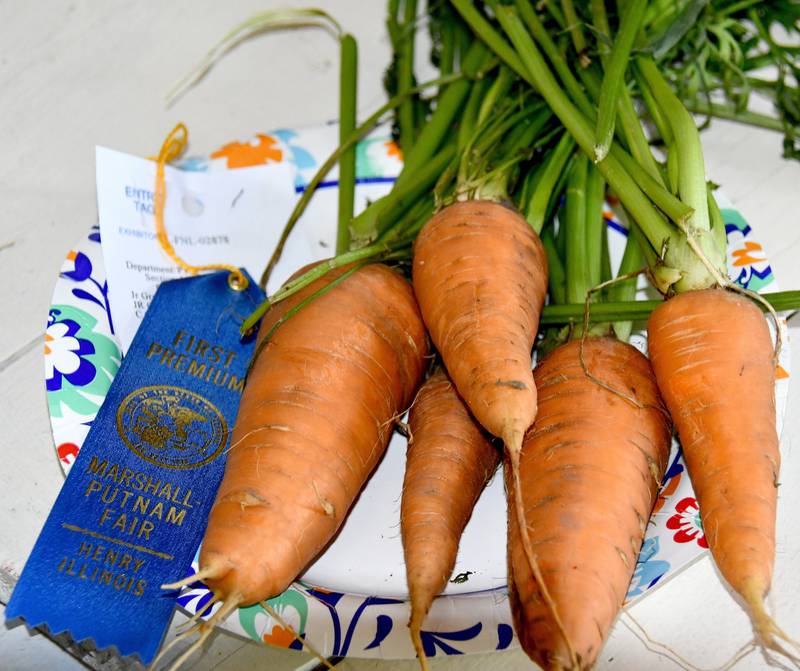 Information about exhibiting at the 2025 Marshall-Putnam Fair can be found online at marshallputnamfair.org.
