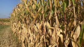 Illinois crop progress for week ending Sept. 14