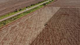 South America projected to expand acreage